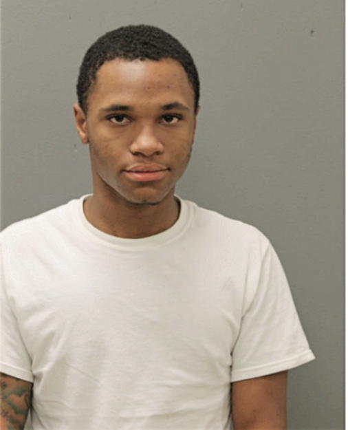 DAVID J BROWN, Cook County, Illinois