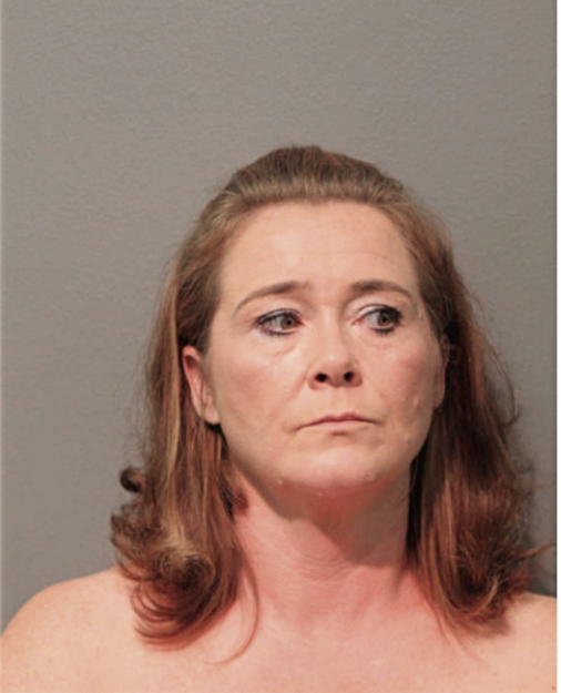 AMBER D CLARK, Cook County, Illinois