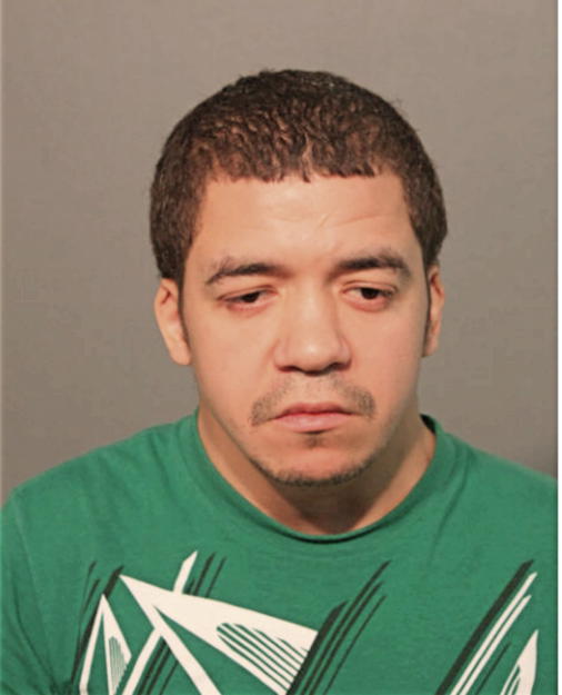 LEONARD A DELSOL, Cook County, Illinois