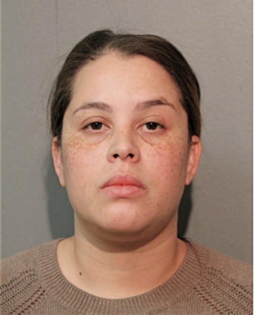 SONIA M FIGUEROA, Cook County, Illinois