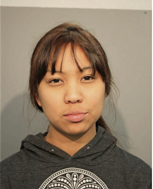 AARON J FLORES, Cook County, Illinois
