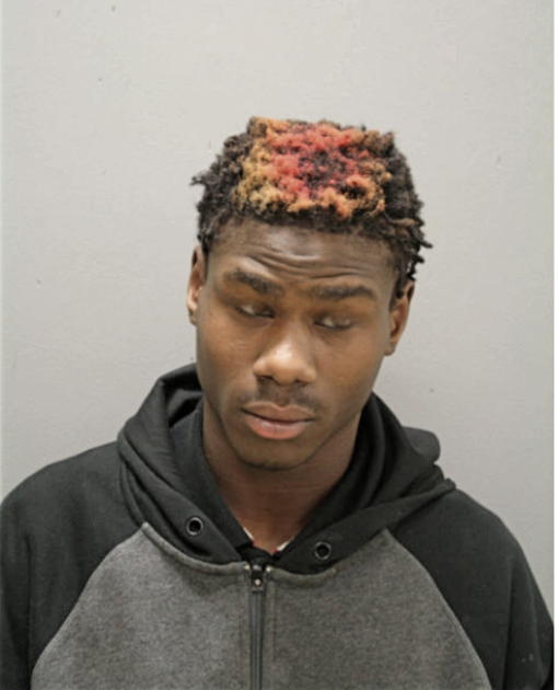 LEANDREW GIBSON, Cook County, Illinois