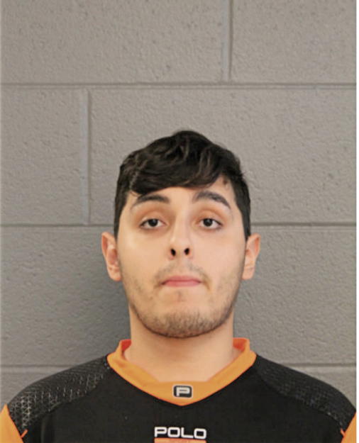 LUIS A GOMEZ, Cook County, Illinois