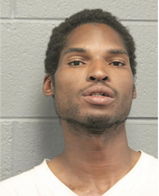 GEORGE O GRIFFIN, Cook County, Illinois