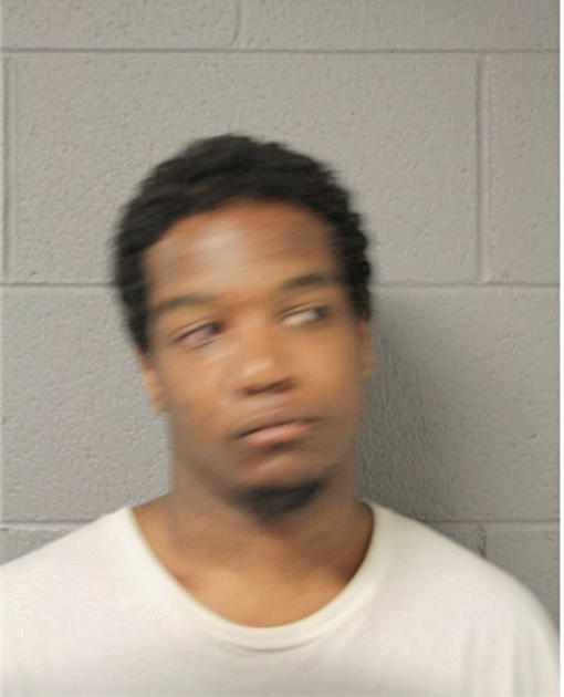 MICHAEL D HARDIMAN, Cook County, Illinois