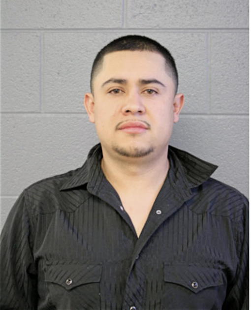 JUAN HERNANDEZ-OJEDA, Cook County, Illinois