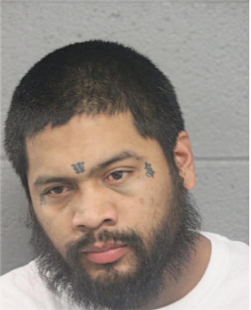 RAMON V IBANEZ, Cook County, Illinois