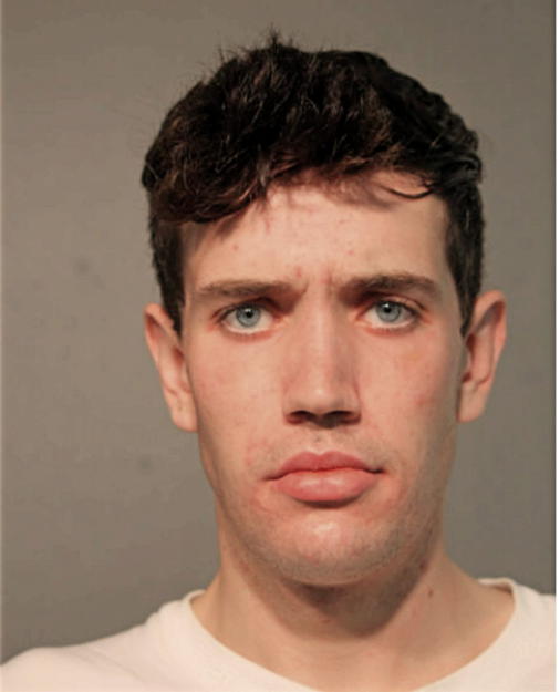DEREK M ISEBERG, Cook County, Illinois