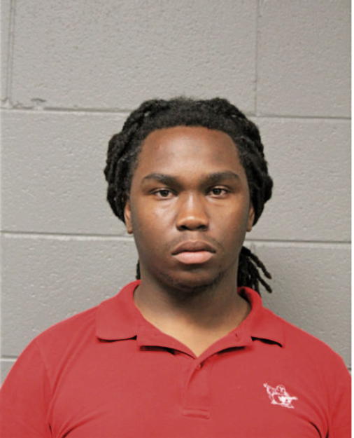 JUSTIN JOHNSON, Cook County, Illinois