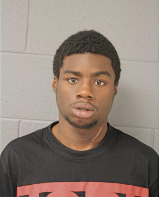 CHRISTOPHER L LEWIS, Cook County, Illinois