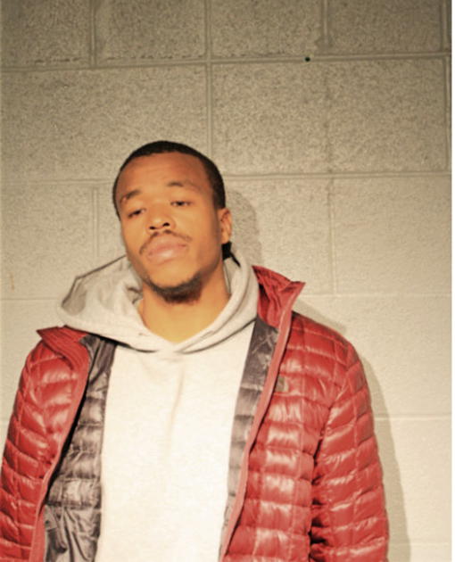 BRYANT W MITCHELL, Cook County, Illinois