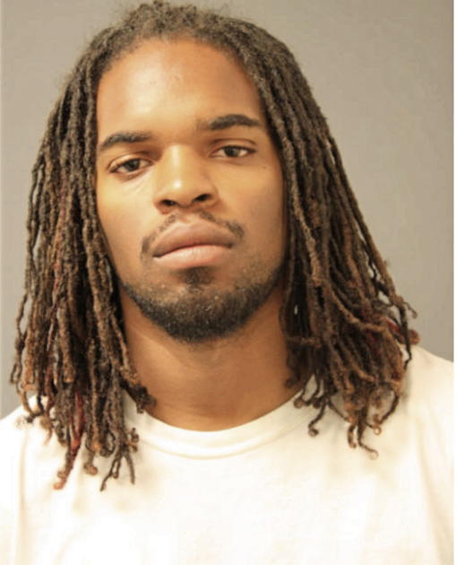 AARON L NELSON, Cook County, Illinois