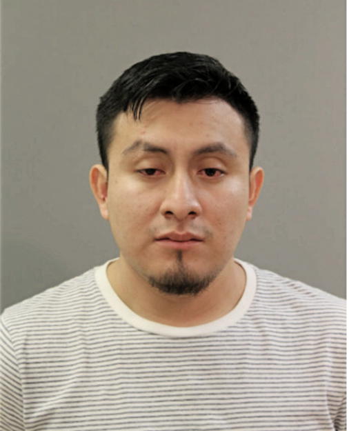 FERNANDO C PULGARIN, Cook County, Illinois