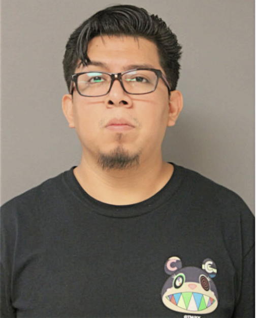 MARCELO F REYES, Cook County, Illinois