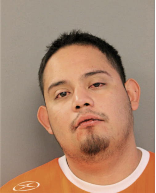 JUAN R SALGADO, Cook County, Illinois