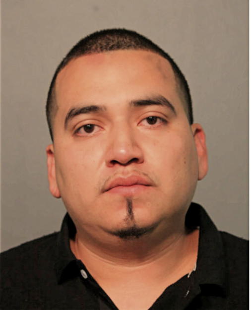IRVING SOSA, Cook County, Illinois