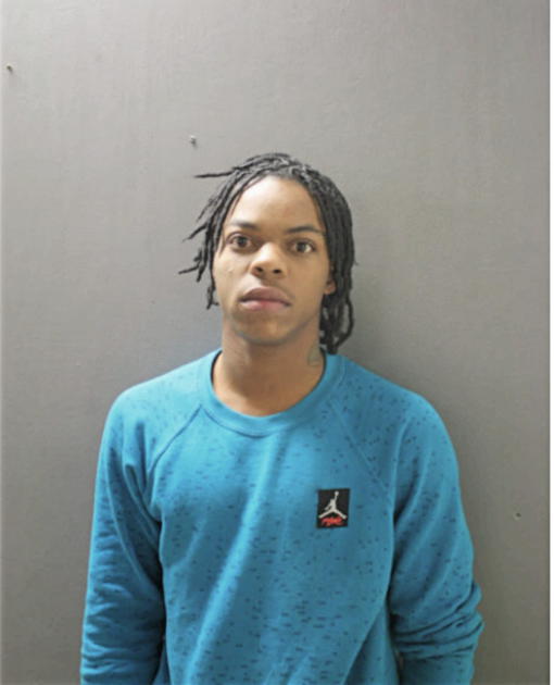 CHRISTOPHER W STEWART, Cook County, Illinois