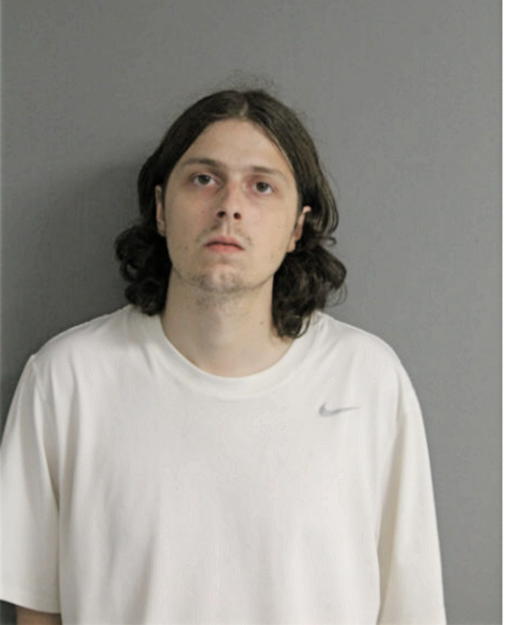 THADDEUS J TOMASZEWSKI, Cook County, Illinois