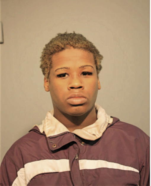 BRYAN A ULMER, Cook County, Illinois
