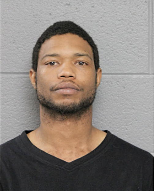 LYNDELLE S WALKER, Cook County, Illinois