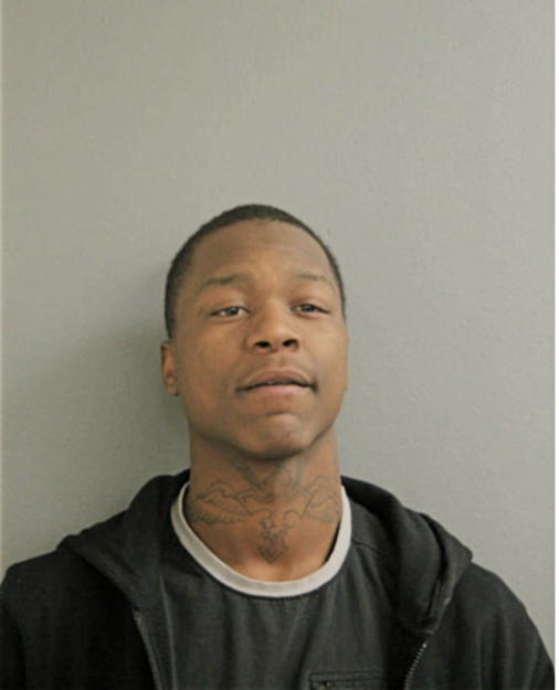 DADISI D WILLIAMS, Cook County, Illinois