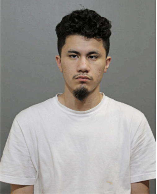 VICTOR A ALVARADO, Cook County, Illinois