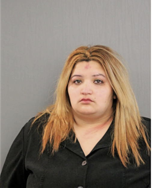 LUCIA ANDRADE, Cook County, Illinois