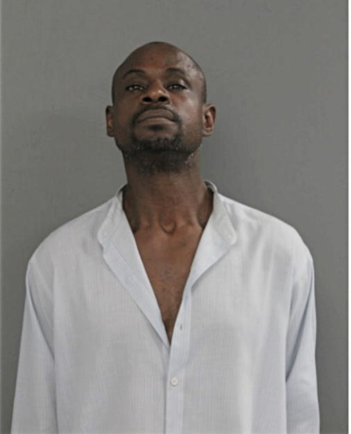 DAVID L AUSTIN, Cook County, Illinois