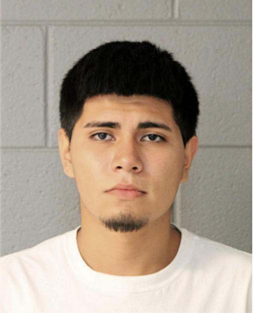 NELSON AVILES, Cook County, Illinois