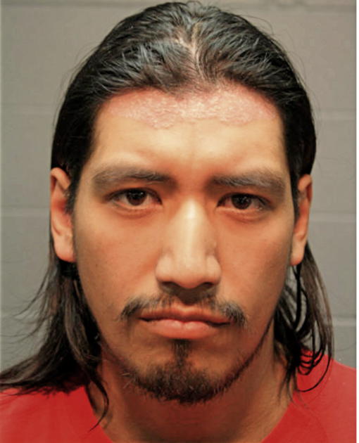 JUAN A ESCALANTE, Cook County, Illinois