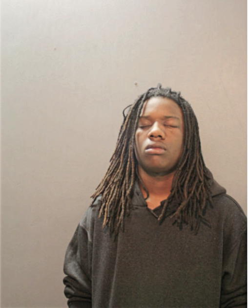JESSE J GARDNER, Cook County, Illinois