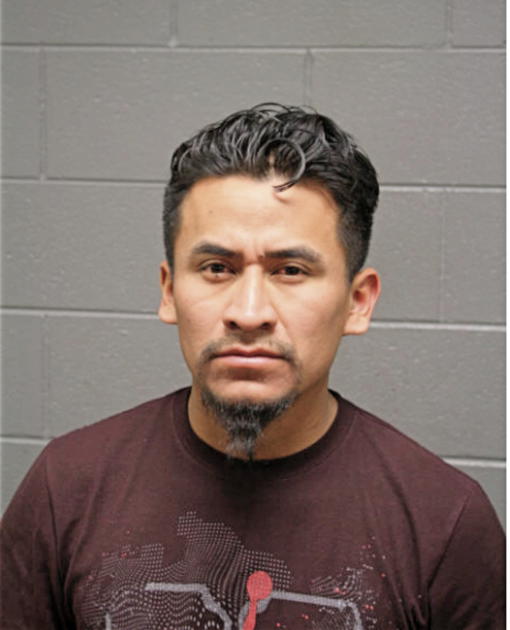 IGNACIO DEGAONA GOMEZ, Cook County, Illinois