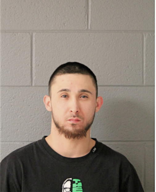 JOSE L GONZALES, Cook County, Illinois