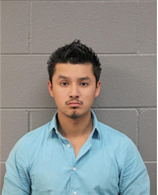 ALDAIR A GONZALEZ, Cook County, Illinois
