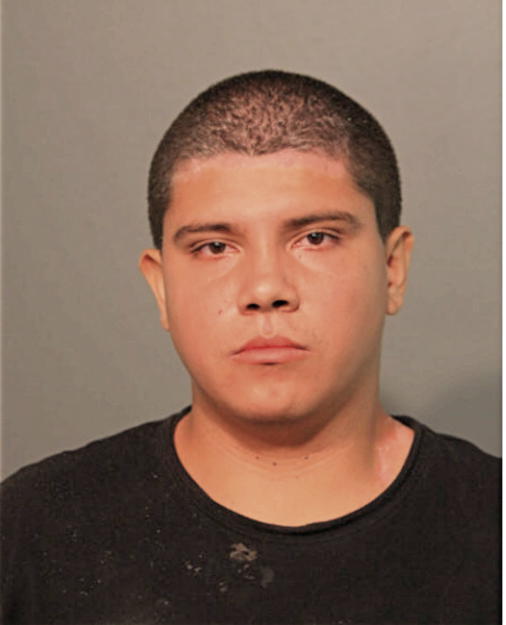 ANTONIO J GUZMAN, Cook County, Illinois