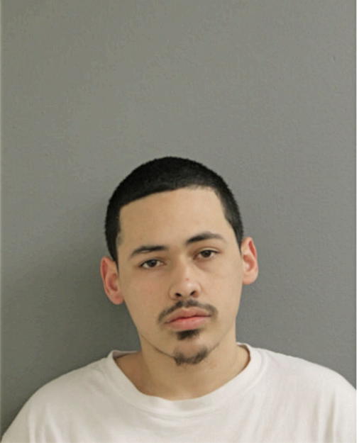 LUIS HERRERA, Cook County, Illinois