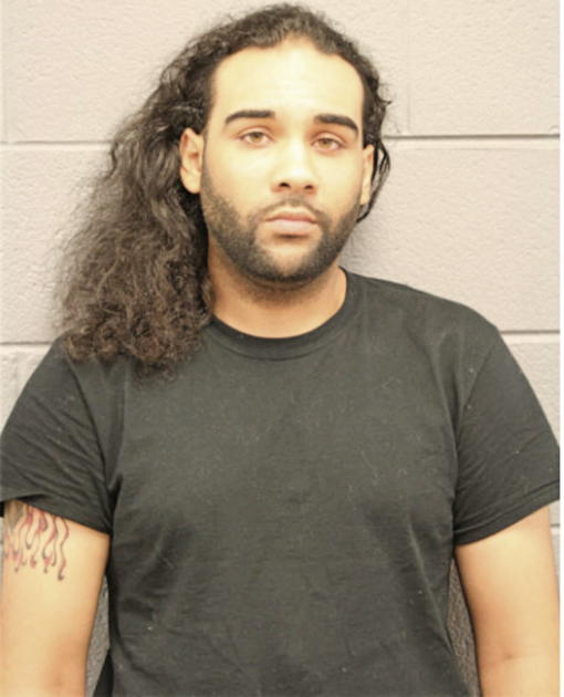 SHAWN B HOUSTON, Cook County, Illinois