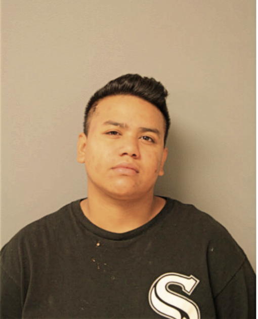 ANNETTE LEDESMA, Cook County, Illinois