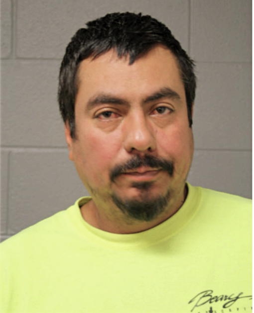 PANCIANO NAVARRETE, Cook County, Illinois