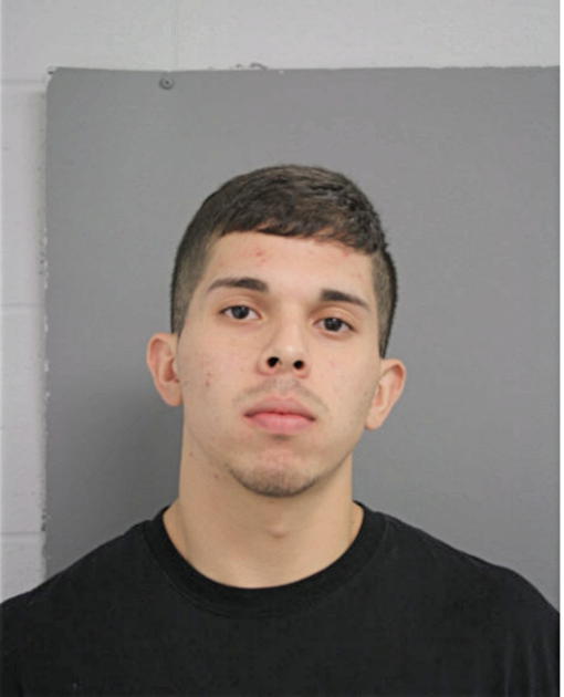 CESAR A OCHOA, Cook County, Illinois