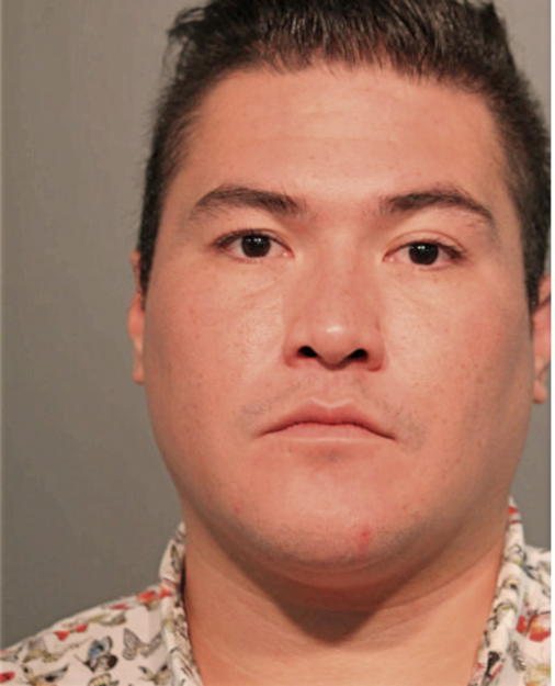 ARNABLO RICO, Cook County, Illinois