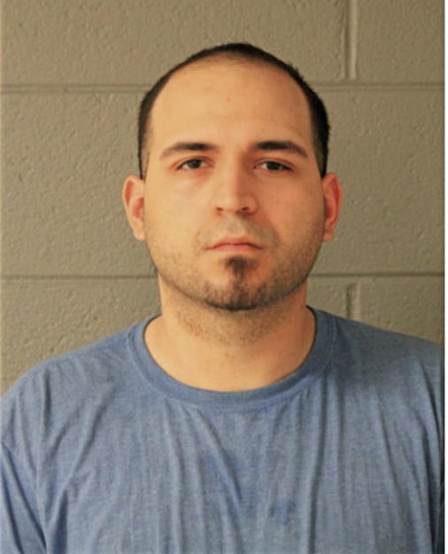 IRWHYN SANCHEZ-SALDANA, Cook County, Illinois