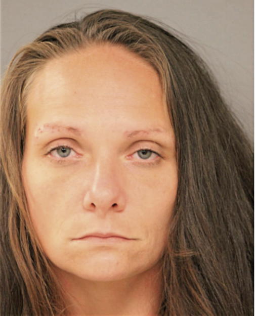 JANEL SANDERS, Cook County, Illinois