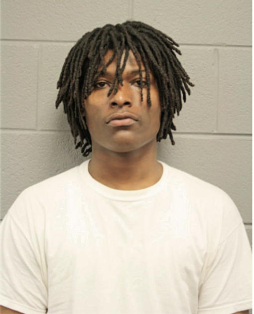 TYRONE L STEVERSON, Cook County, Illinois