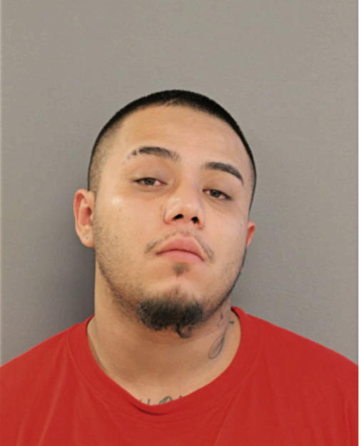 YONATHAN TAMAYO, Cook County, Illinois