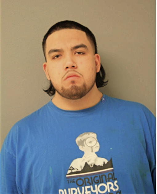 DAVID VILLAREAL, Cook County, Illinois