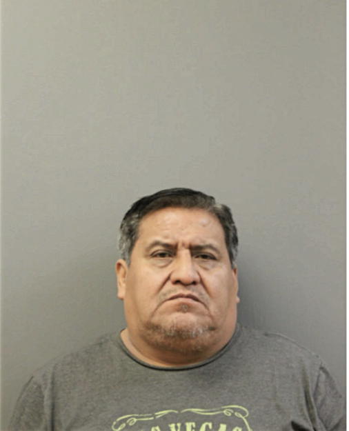 MARCO A ADAME, Cook County, Illinois