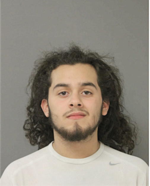FABYAN A AHUMADA, Cook County, Illinois