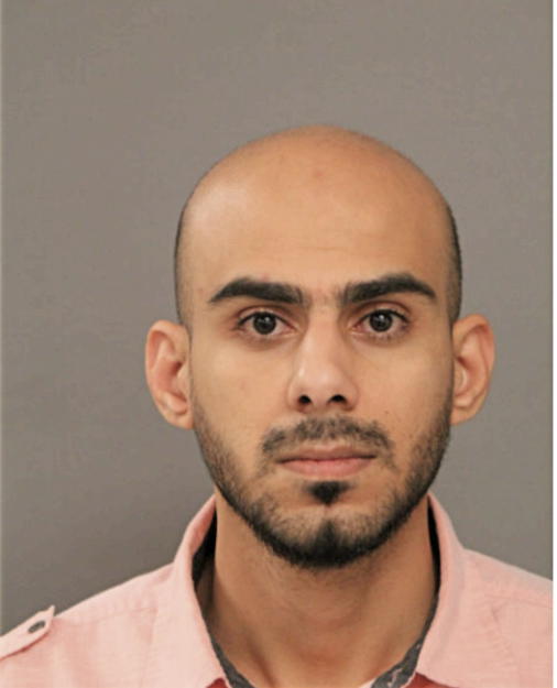 MOHAMMAD A ALSHIEBE, Cook County, Illinois