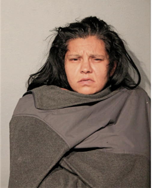 VANESSA R BONILLA, Cook County, Illinois